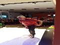 Bowling 2017_021.jpg