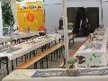 Fisch-Maile-Fest 2015_008.jpg