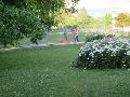 Minigolf2018_013.jpg