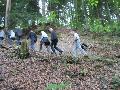 maibummel2014_004.jpg